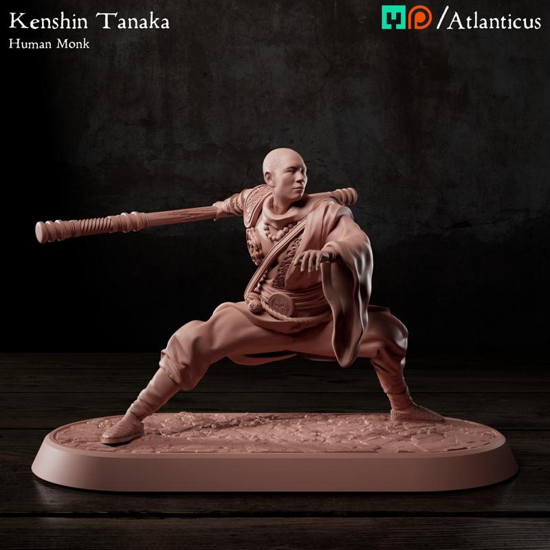 Male Human Monk - Kenshin Tanaka - Staff Squarestance