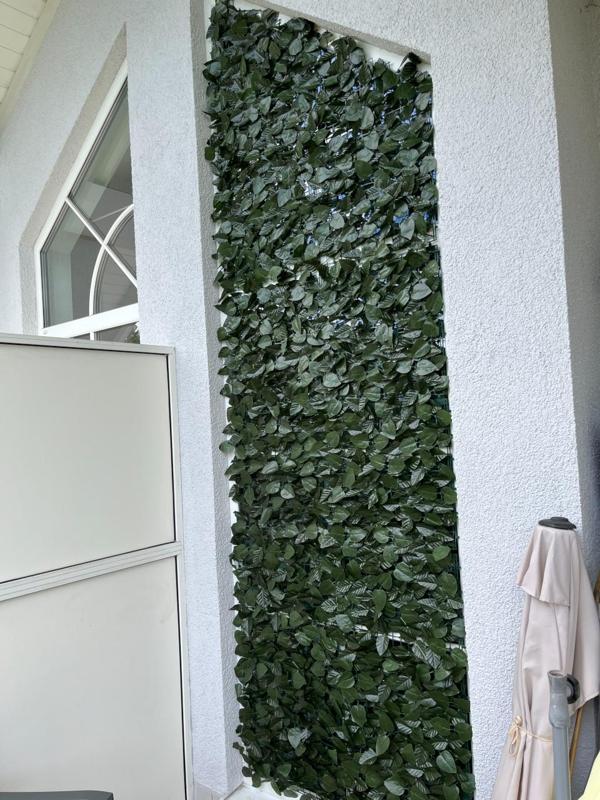 Privacy shield mount