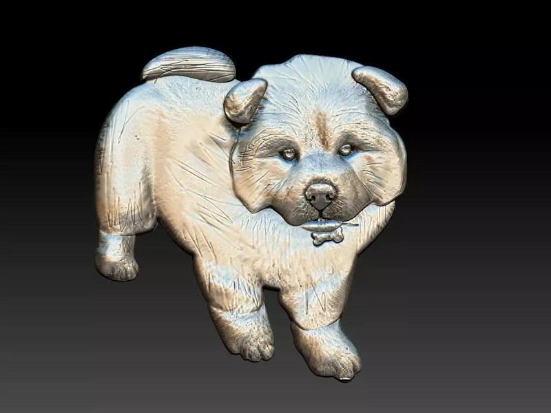 Chow Chow Dog Relief