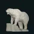 Polar bear standing on ice cube stl