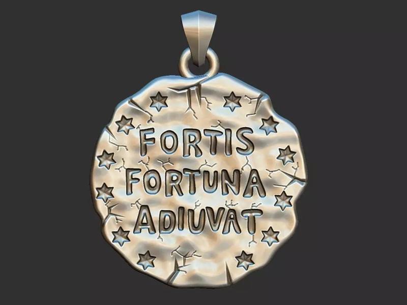 Fortis Fortuna Aduivat - Medal
