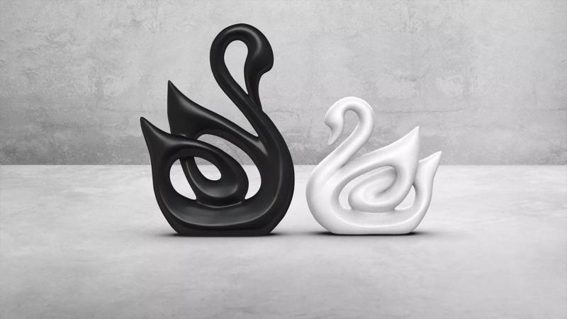 BLACK AND WITHE SWAN