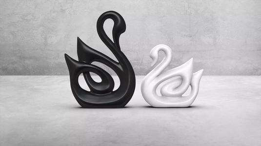 BLACK AND WITHE SWAN