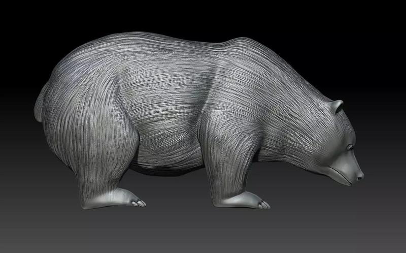 BEAR MODEL