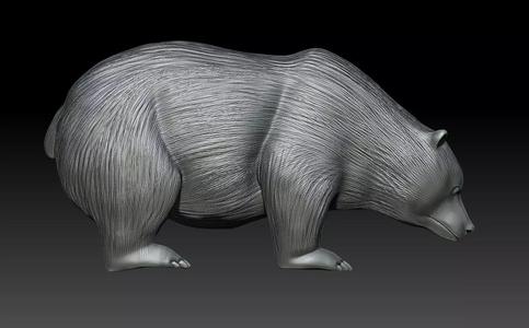 BEAR MODEL