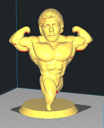 Maradona Muscular