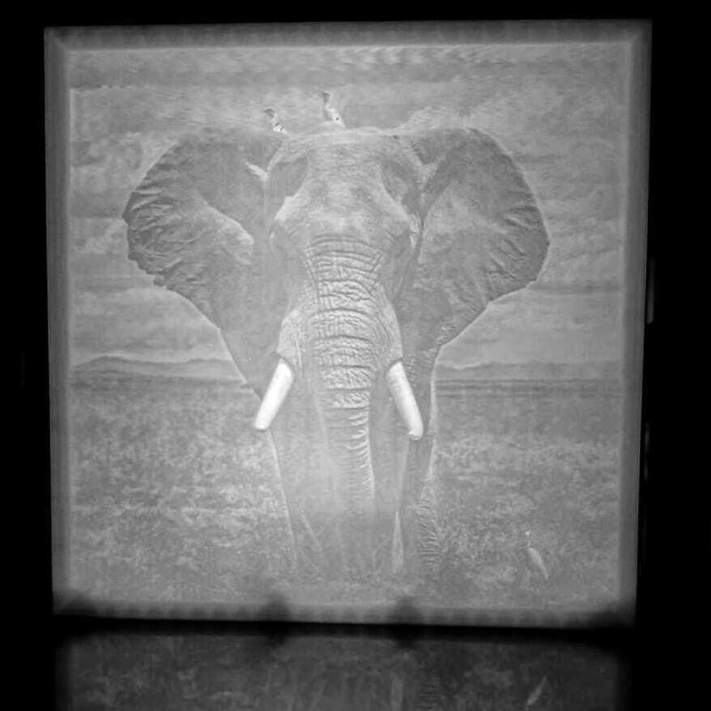 The Monarch - African Elephant Lithopane