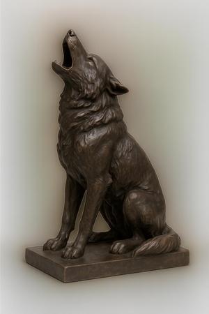 wolf