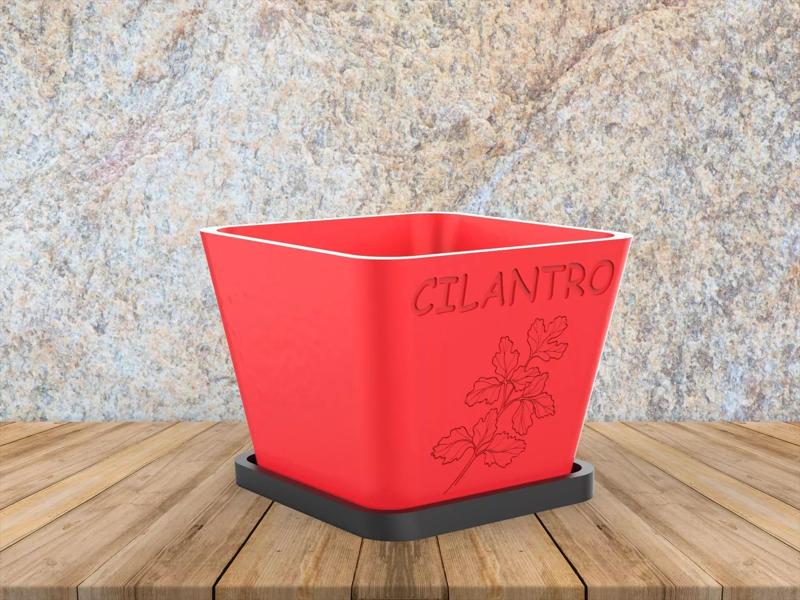 Cilantro Herb Pot Planter