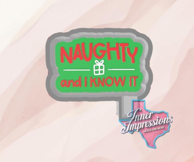 Naughty and I Know It Freshie Mold