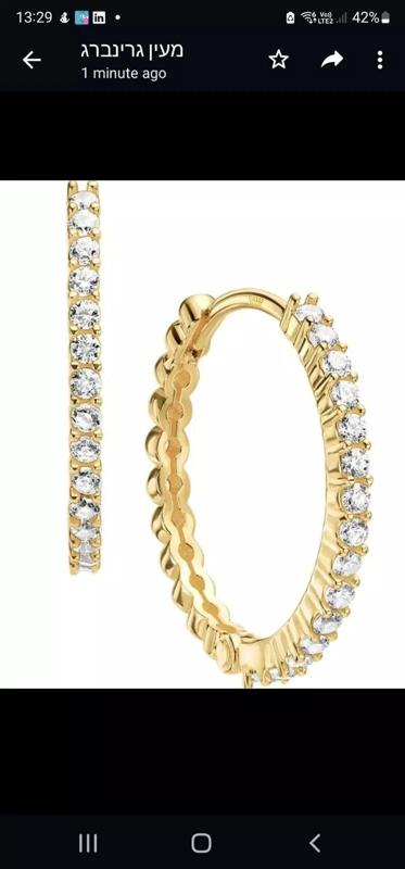 2461 earrings