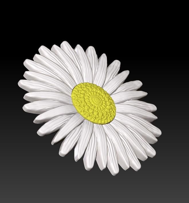 DAISY FLOWER 3D PRINTABLE