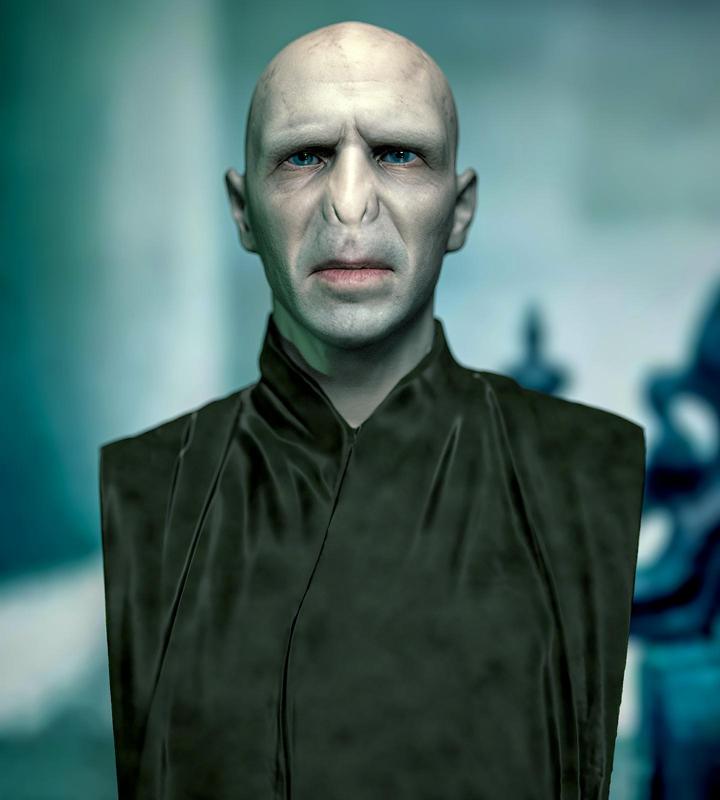 1/6 1/12  Lord Voldemort Tom Marvolo Riddle Ralph Fiennes The Dark Lord  Harry Potter bust headsculpt