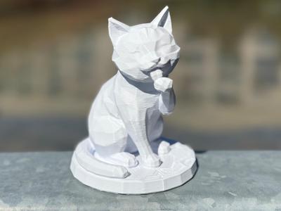 cute Cat