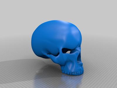Skull