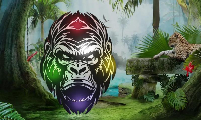 Gorilla   
