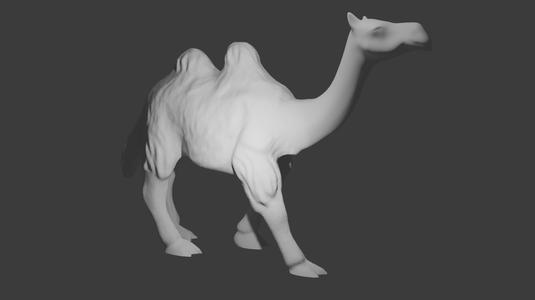 Vero cammello (True camel)