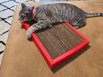 Cat Scratcher border (less filament)