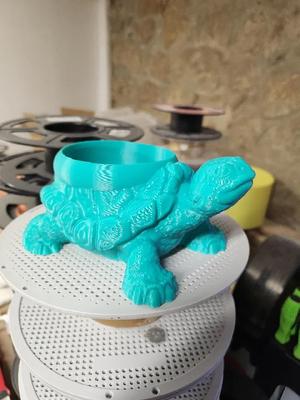 TURTLE_Pot - Remix   