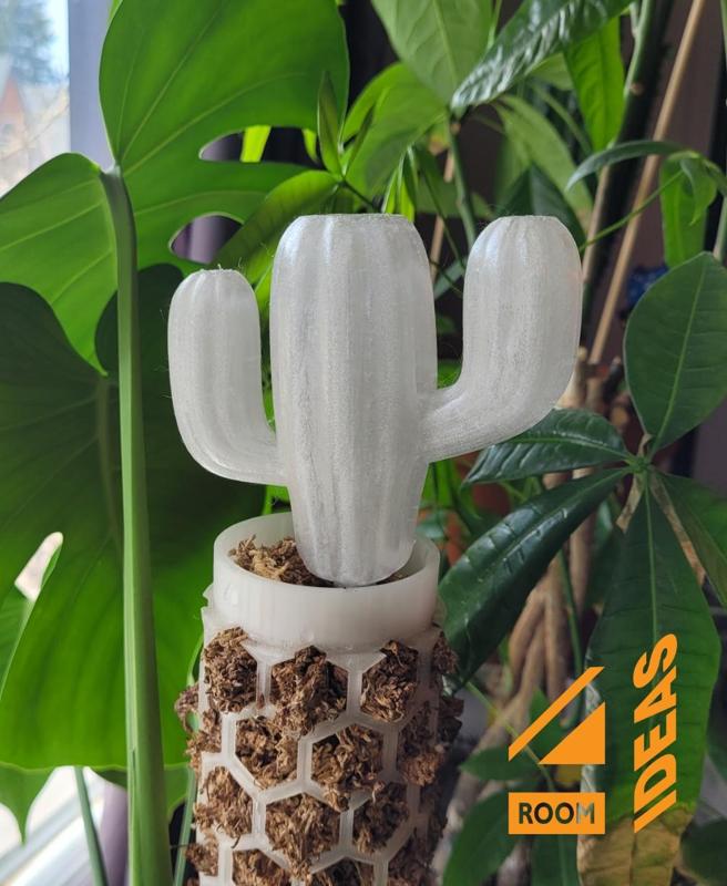 Moss Pole Watering Stake - Cactus 3