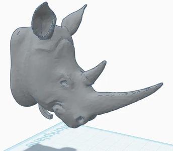 Rhino Knocker   