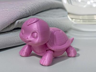 Little turtle