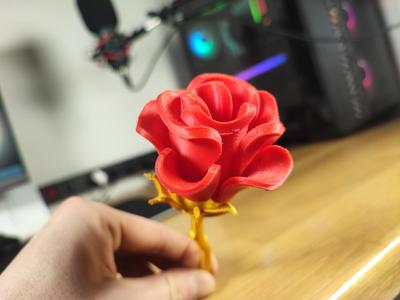 Rose