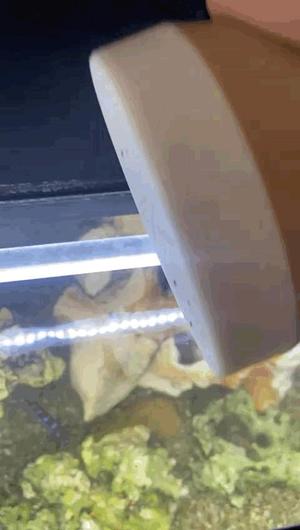 Fish Food Box with Sieve