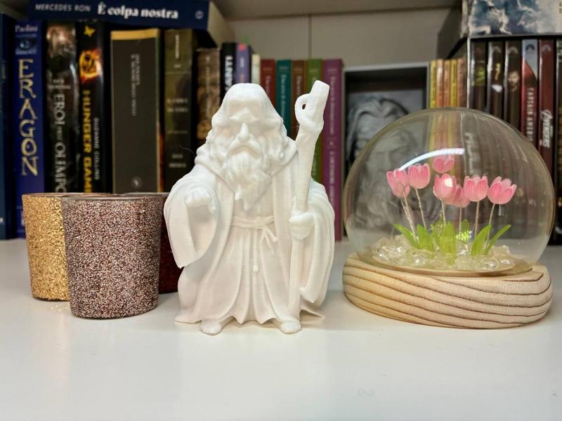 Gandalf - Mage - Wizard - Lord of the rings - Lotr