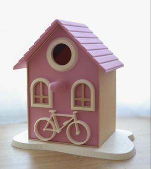 Bird House 9.1
