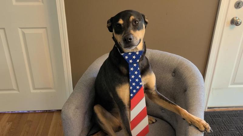 Patriotic Neck Tie