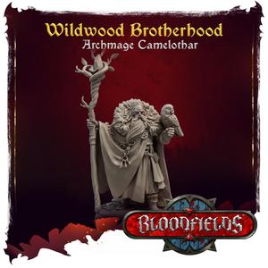 Wildwood Brotherhood - Archmage Camelothar - Additional Miniatures