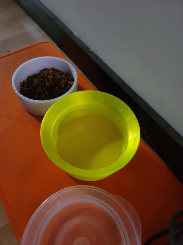 Bird Bowl v2