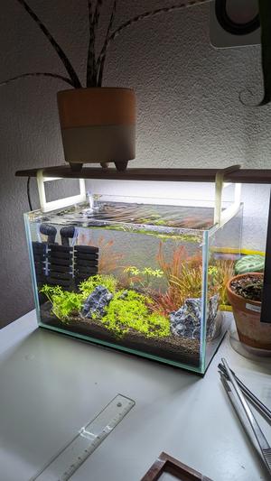 Chihiros A Plus Series Mount