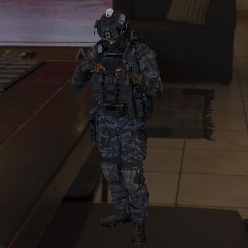 Soldier Ops 46: Elite Forces