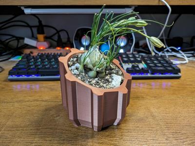 Bevel Polygon Shape-Succulent Plant Pot Design