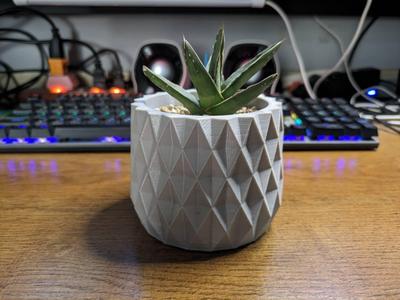 diamond Shape-Succulent Plant Pot Design