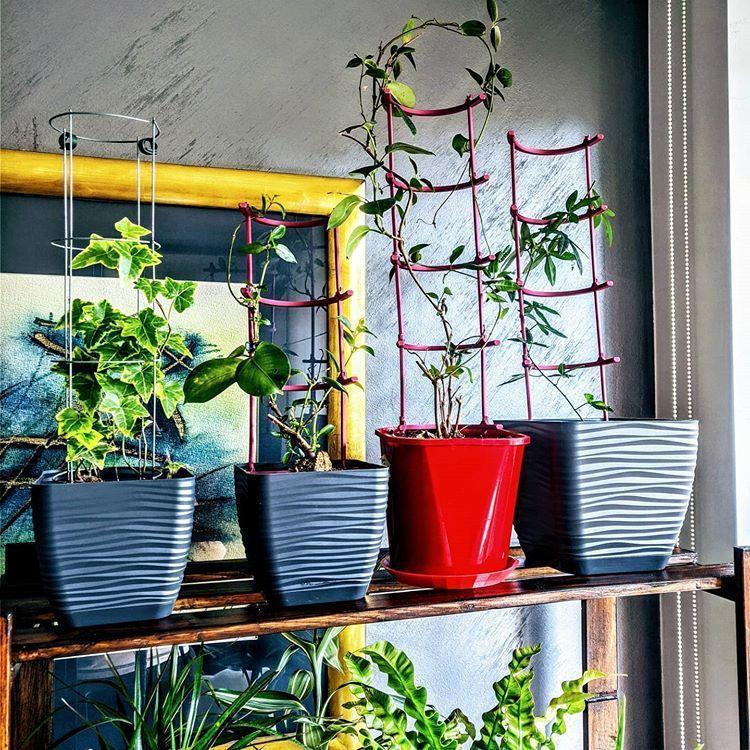 Climbing Modular Plant Support