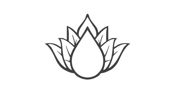 Lotus flower