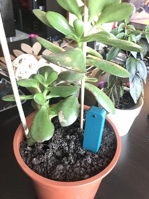 Plant watering Alarm - Humidity Sensor