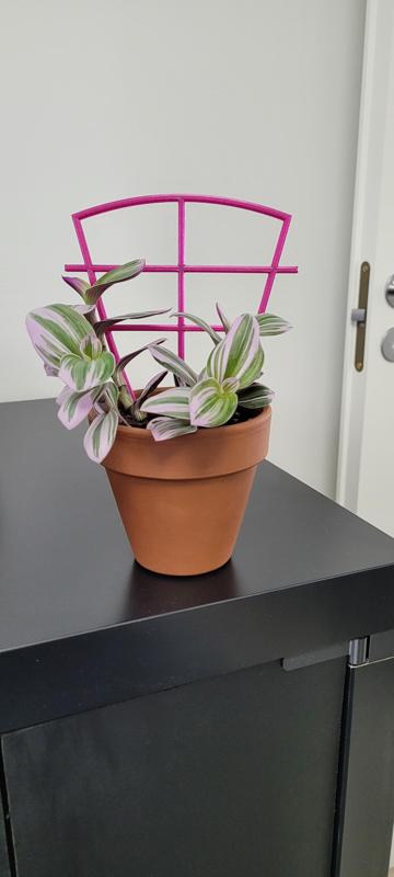 Plant support