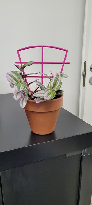 Plant support