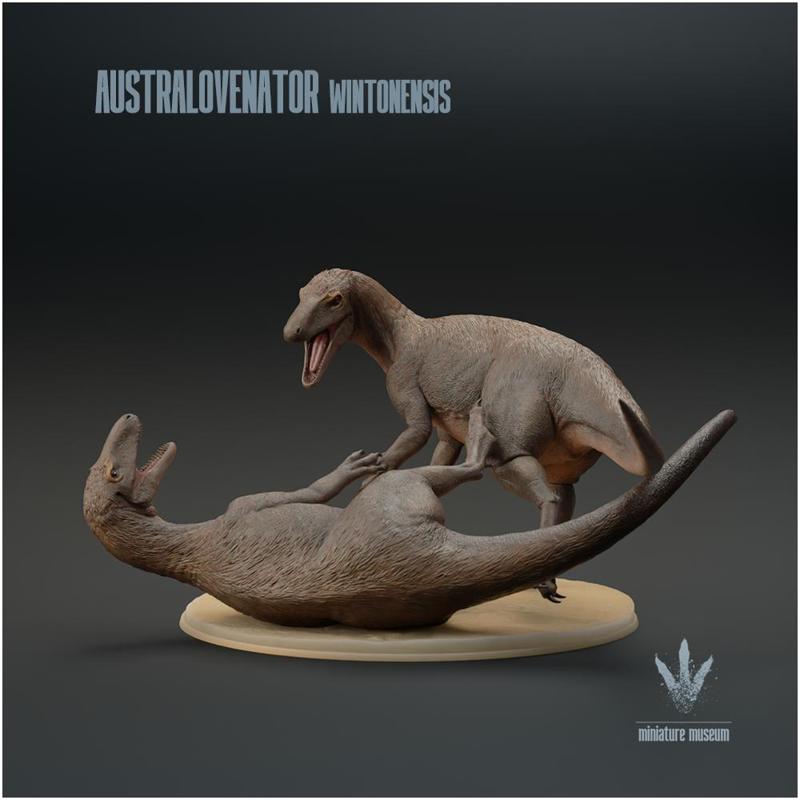 Australovenator wintonensis : Fighting