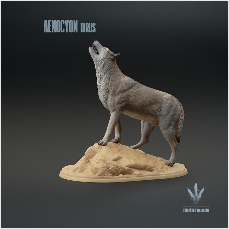 Aenocyon dirus : Howling