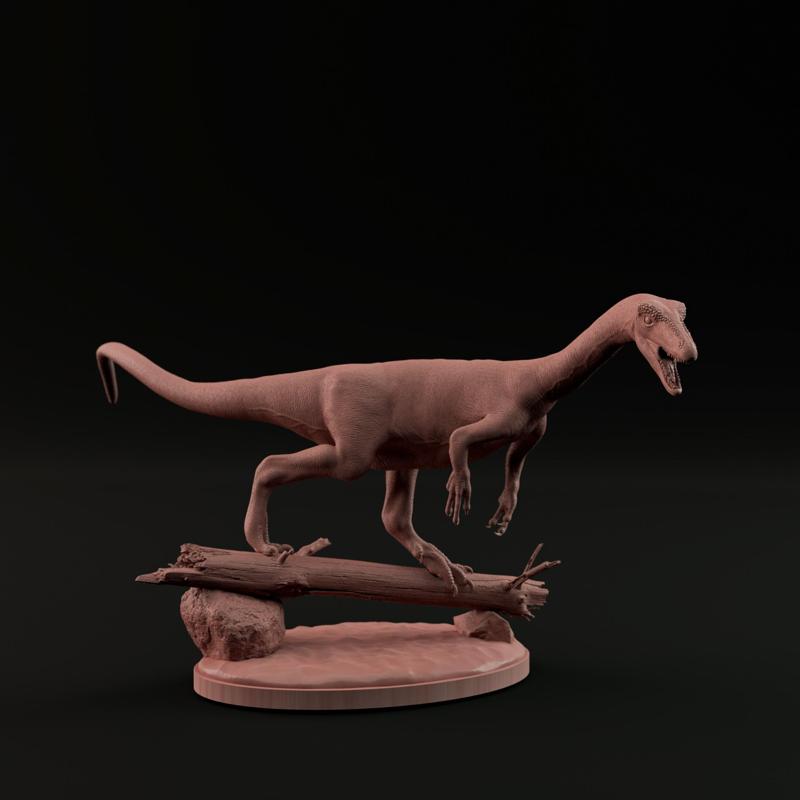 Coelophysis 1-20 scale pre-supported dinosaur