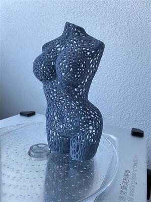 Female Body Voronoi SLA