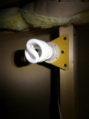Crawlspace light bulb mount