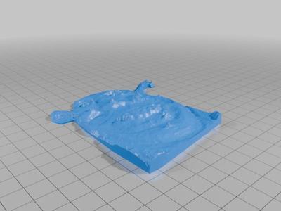 sharvey face lithogram