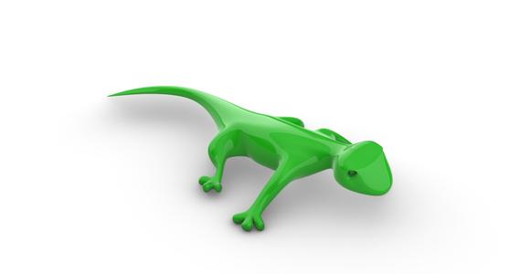 reptile