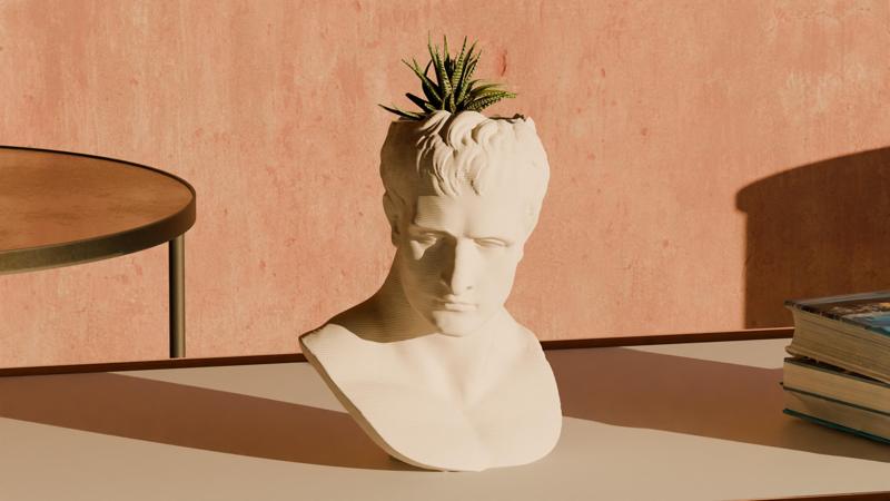 Napoleon Bonaparte Pot Plant - Home Decoration
